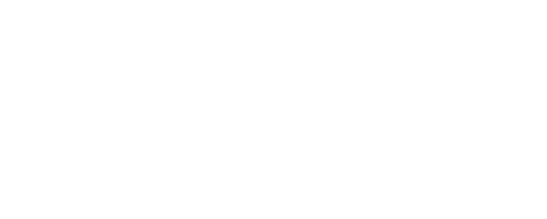 Bolzan-Logo